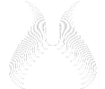 Sponsor Image