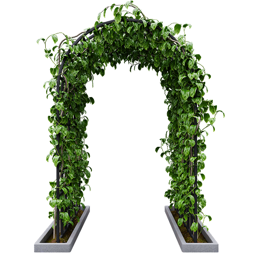 Gardening Image