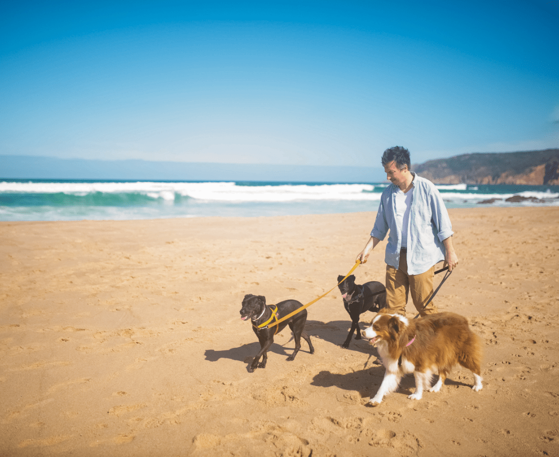 I helped rescue Hundred dogs from a burning building