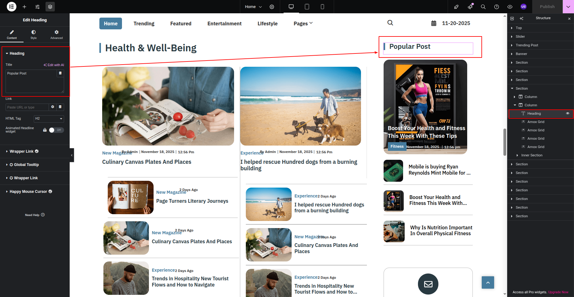 Magazine Blocks Pro Documentation