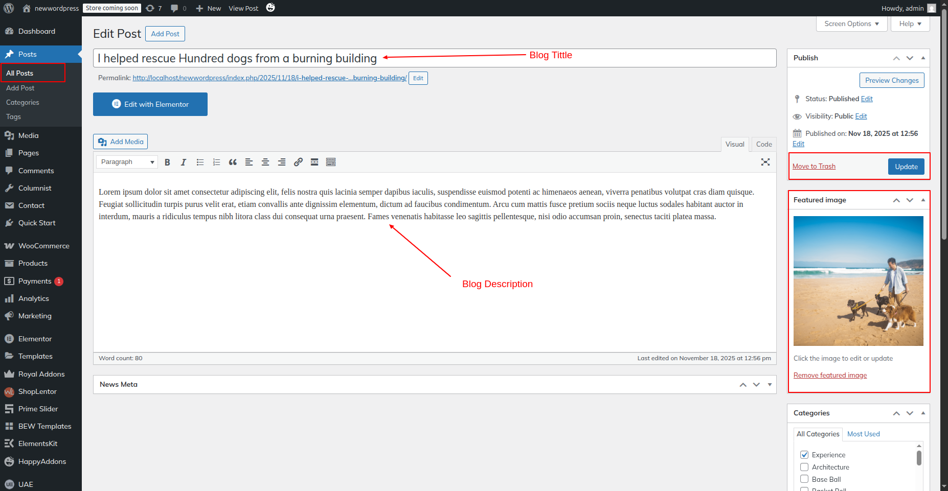 Magazine Blocks Pro Documentation